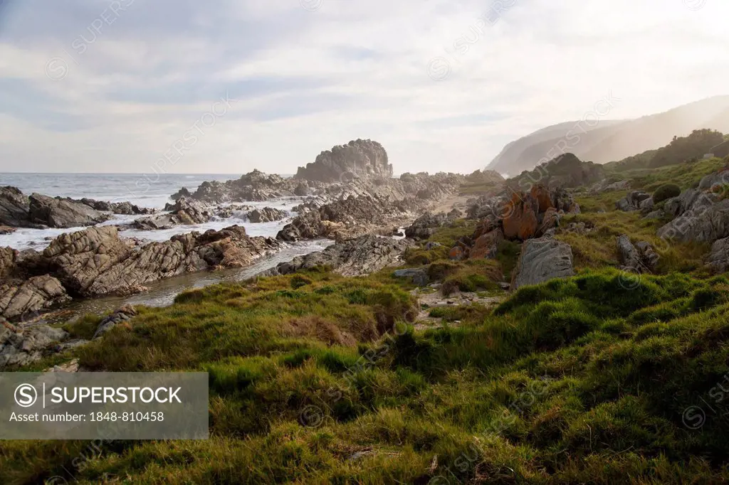 Rocky coast, Tsitsikamma, Eastern Cape, South Africa