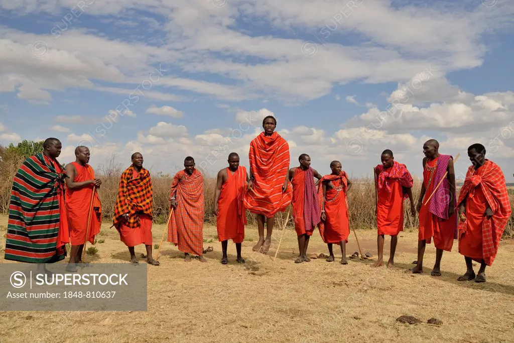 Maasai at a dance performance, Massai Mara, Enkutoto, Serengeti, Rift Valley province, Kenya