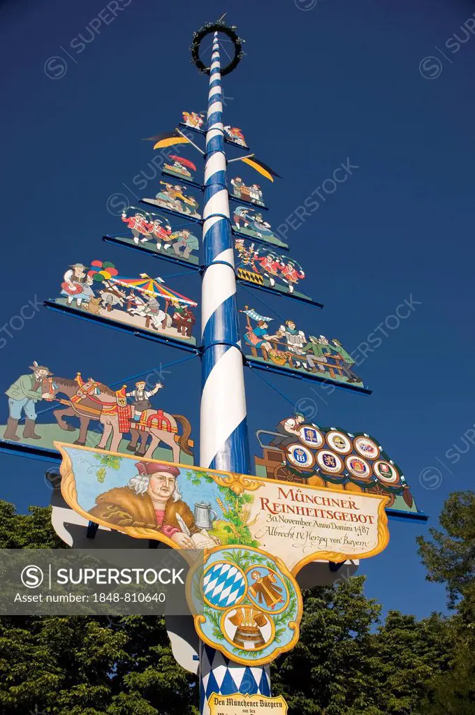May pole on Viktualienmarkt square with the explanation of the Munich Beer Purity Law of 1487, historic center, Munich, Upper Bavaria, Bavaria, German...