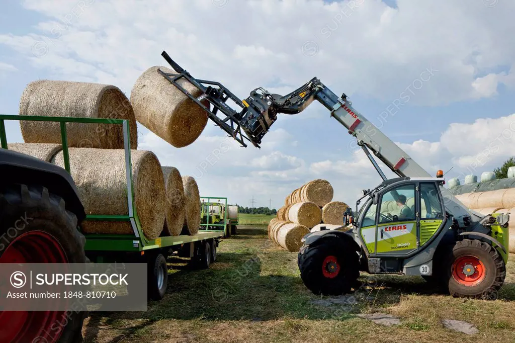 Bales of straw being loaded onto a trailer, Schleswig-Holstein, Germany