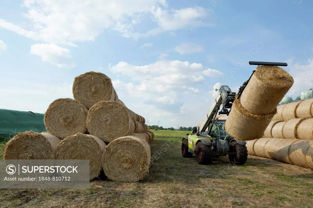 Bales of straw being transported, Schleswig-Holstein, Germany