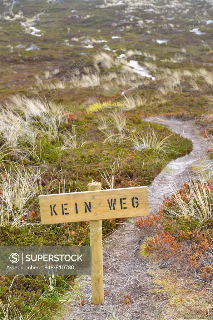 Sign, Kein Weg, German for No Way in the dunes, Rantum, Sylt, North Frisian Islands, Schleswig-Holstein, Germany
