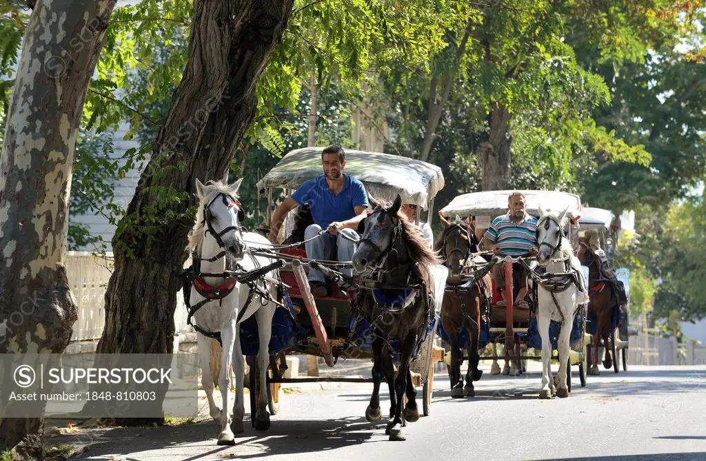 Horse-drawn carriages, Büyükada, Prince Islands, Istanbul, Asian side, Istanbul Province, Turkey