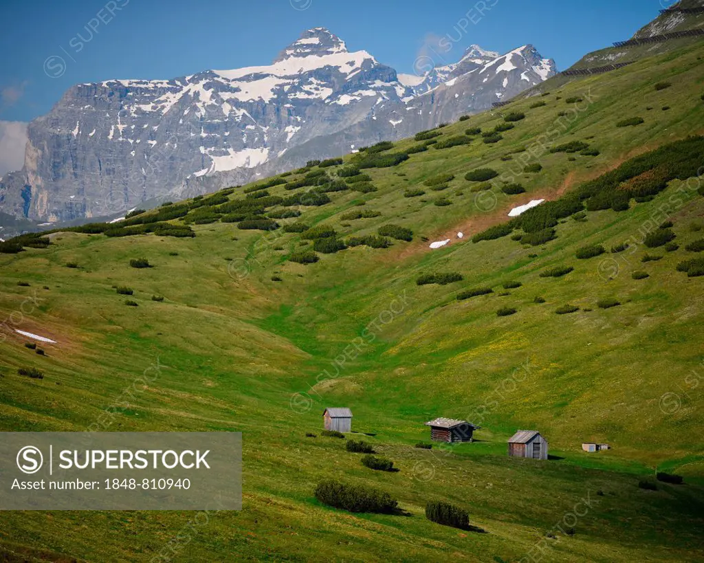 Huts and meadows, Habicht mountain at the back, Stubai Alps, Tyrol, Austria