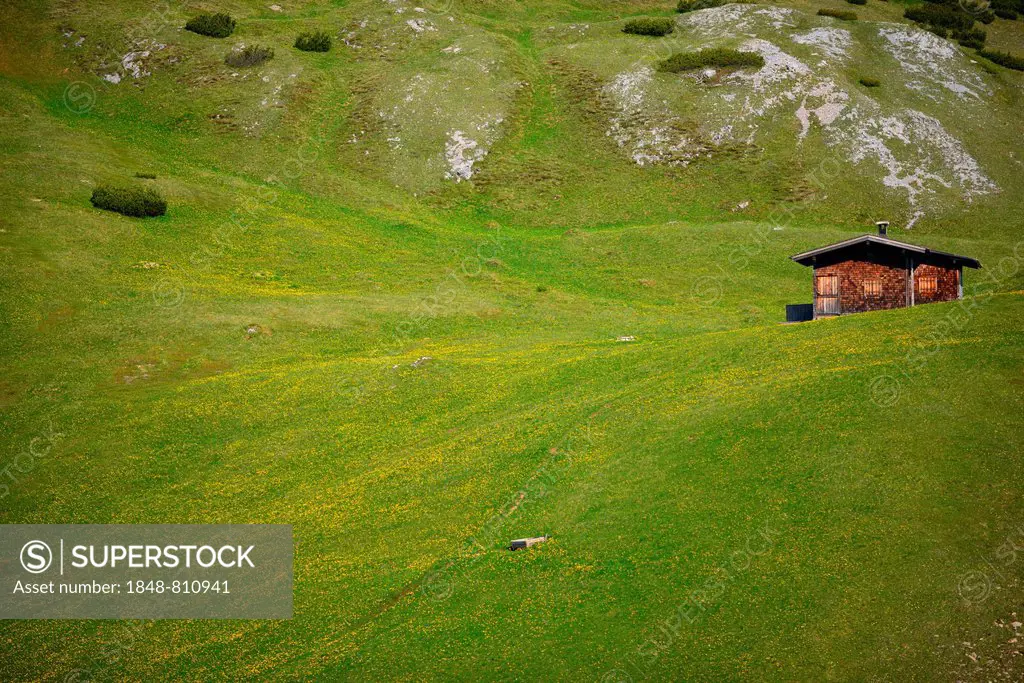 Hut on an alpine meadow, Stubai Alps, Tyrol, Austria