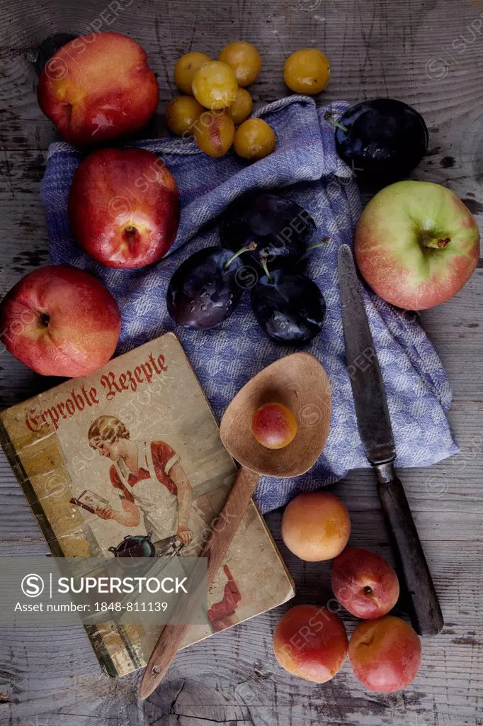 Kitchen scene, old cookbook, apples, prunes, plums, apricots and nectarines on a wooden surface