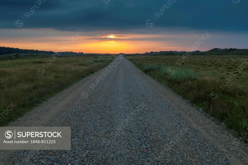 Morning mood over a gravel road through heathland, Henne Strand, Jutland, Denmark