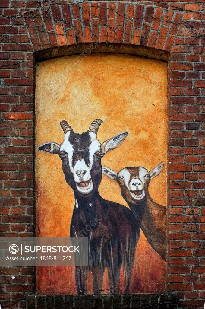 Mural of goats on the facade of a goat cheese dairy, Rögnitz, Mecklenburg-Western Pomerania, Germany