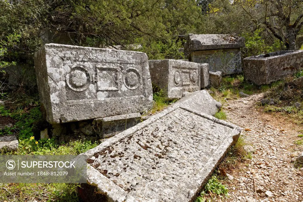 Sarcophagi in the necropolis, ancient city of Termessos, Taurus Mountains, Termessos, Antalya Province, Turkey