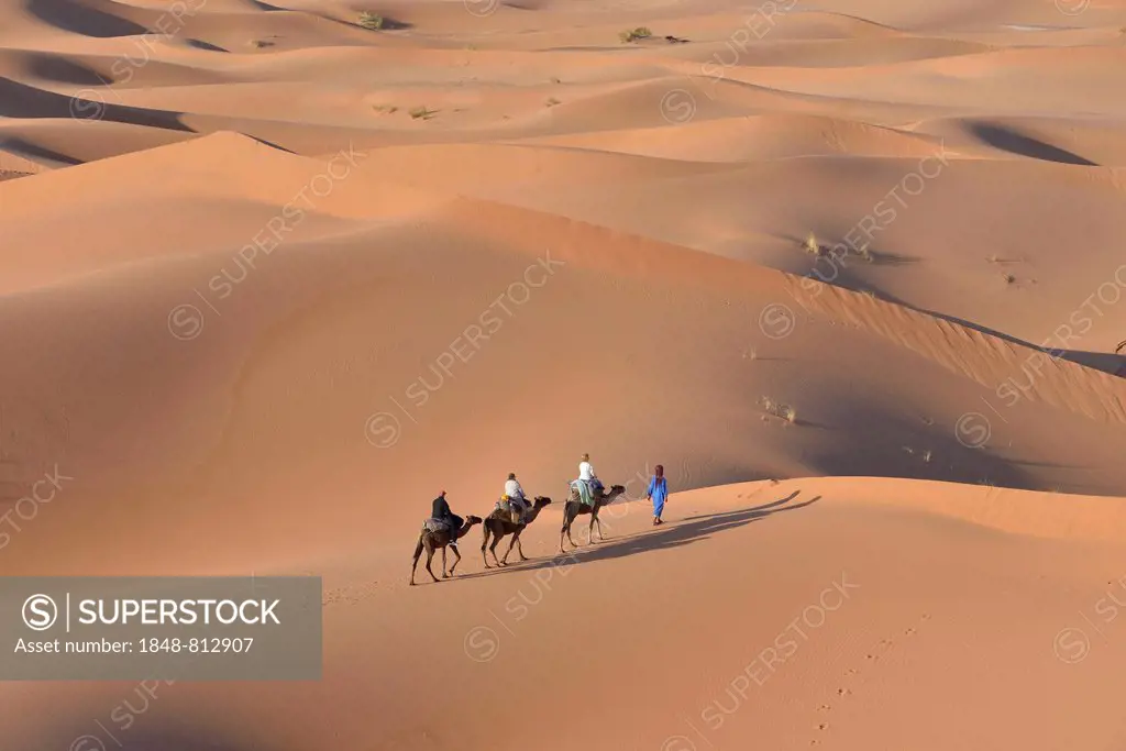 Tourists riding on camels through the dunes, Sahara, Merzouga, Meknès-Tafilalet region, Morocco