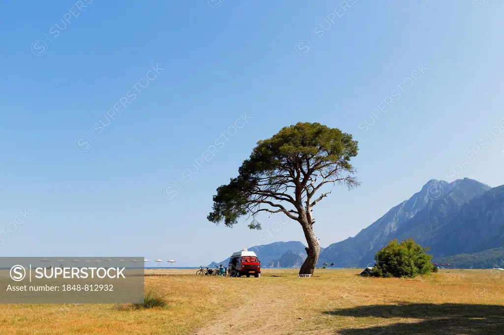 Beach of Olympos, VW van under a pine tree, Çirali, Lycia, Province of Antalya, Turkey