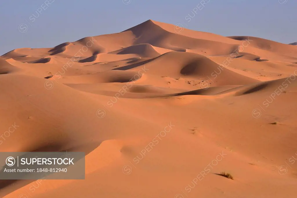 Dunes in the morning light, Great Sand Sea, Sahara, Merzouga, Meknès-Tafilalet region, Morocco