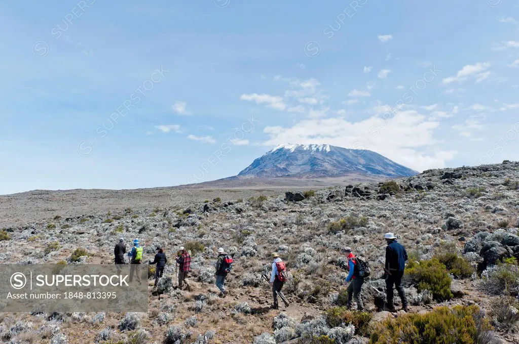 Group of hikers on a path at the Kibo Saddle, Marangu route, Kilimandscharo National Park, Tanzania