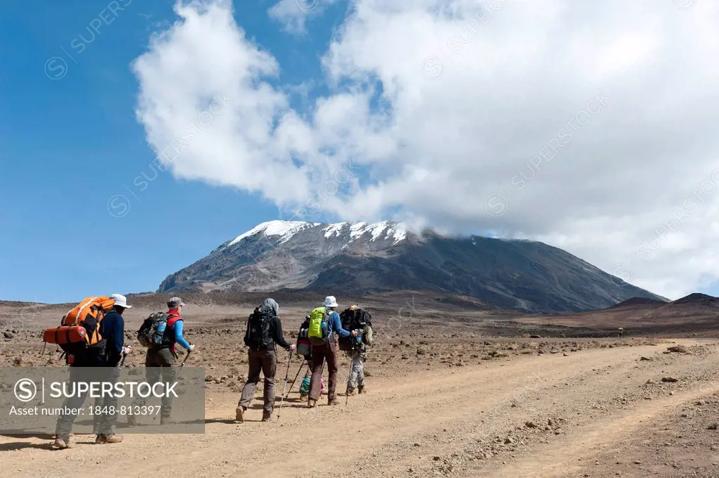 Group of hikers on a path at the Kibo saddle, Marangu route, Kilimandscharo National Park, Tanzania