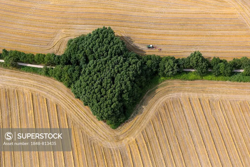 Aerial view, straw turner on a field, Hamm, North Rhine-Westphalia, Germany