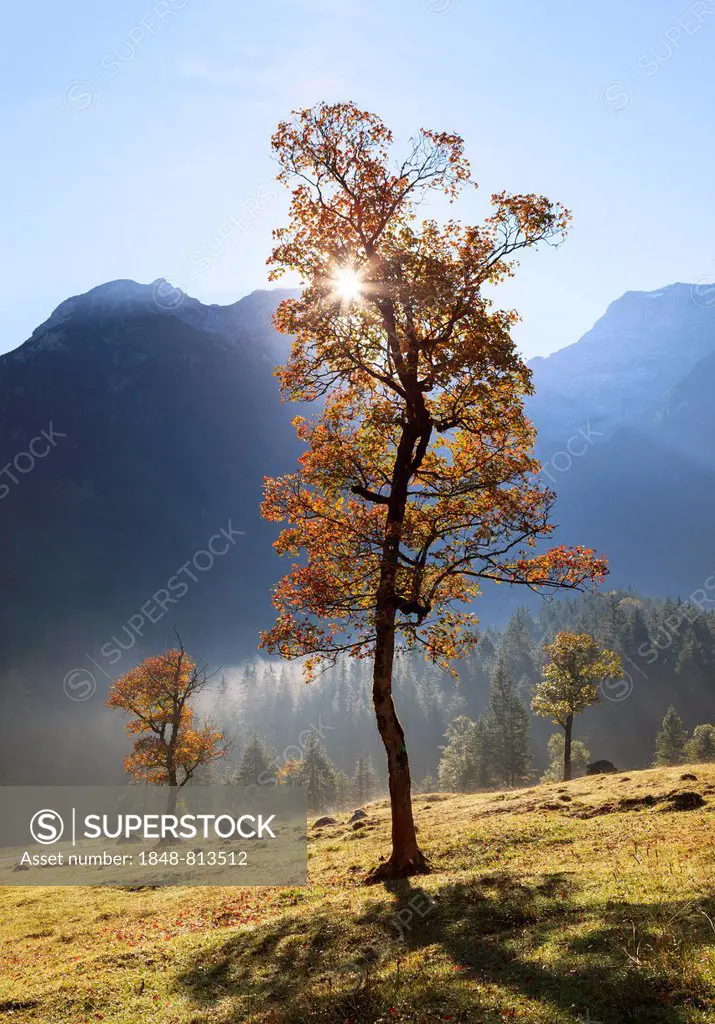 Morning sun in the Ahornboden mountain pasture, Eng, Hinterriß, Tyrol, Austria