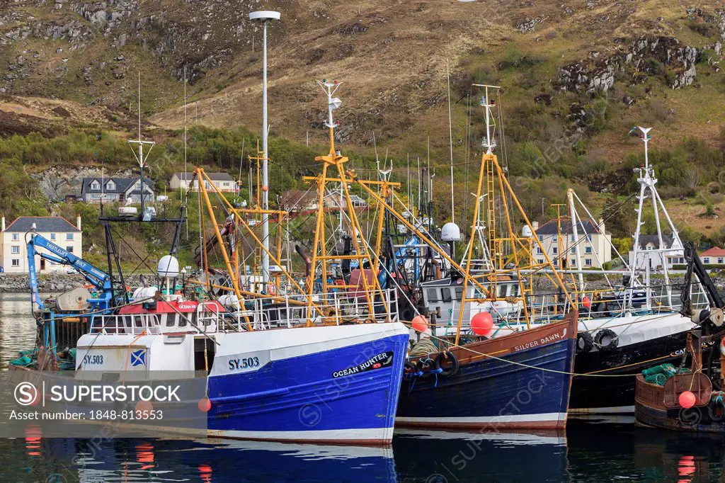 Fishing boats in the harbour of Mallaig, Mallaig, Highlands, Scotland, United Kingdom