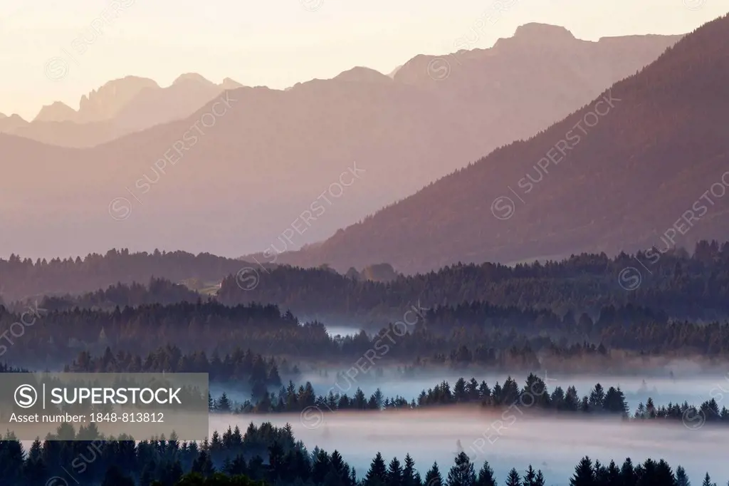 Landscape in the Alpine Foreland, morning mood with fog, Schönberg, Rottenbuch, Pfaffenwinkel region, Upper Bavaria, Bavaria, Germany