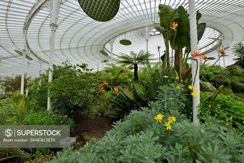 The Kibble Palace, historic greenhouse made of glass and cast iron, Glasgow Botanic Gardens, Glasgow, Scotland, United Kingdom