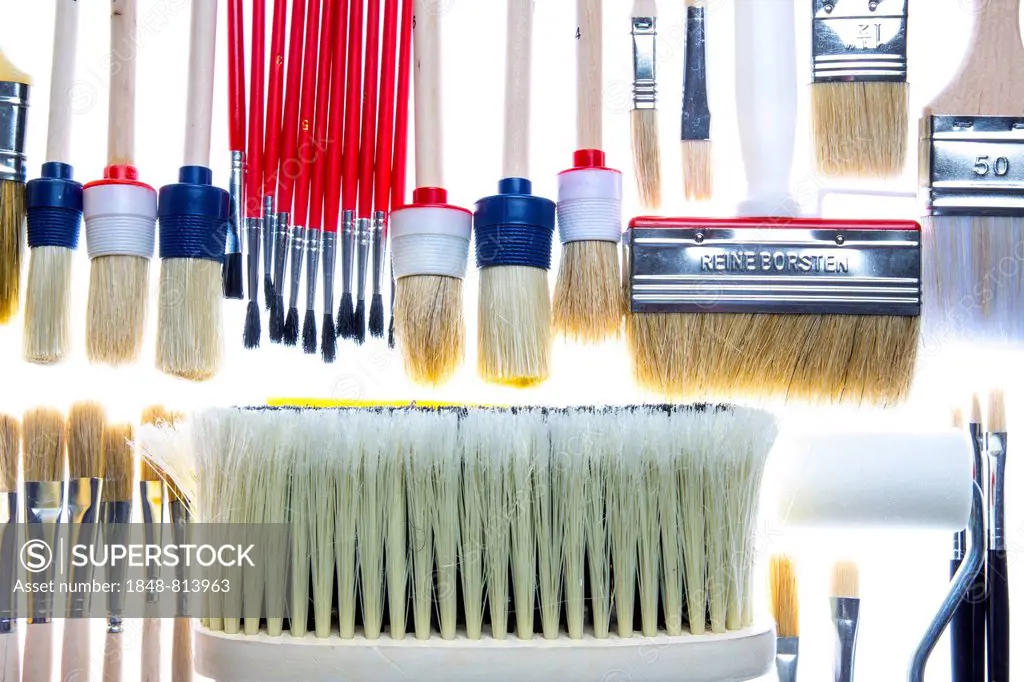 Different types of brushes and a paint roller