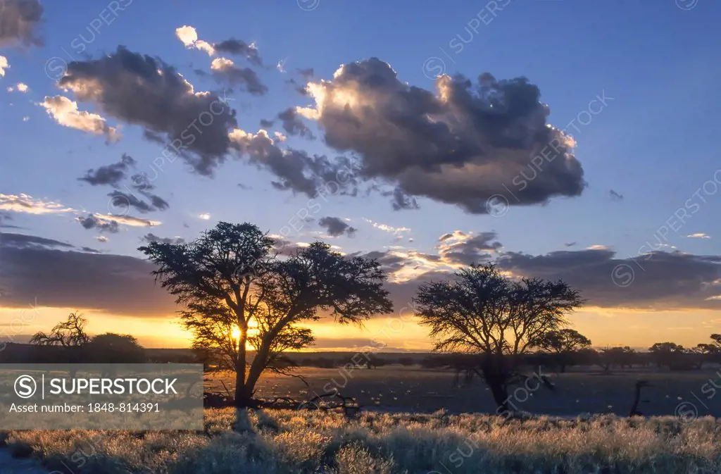 Sunset over the Nossob Valley, Kgalagadi Transfrontier Park, South Africa