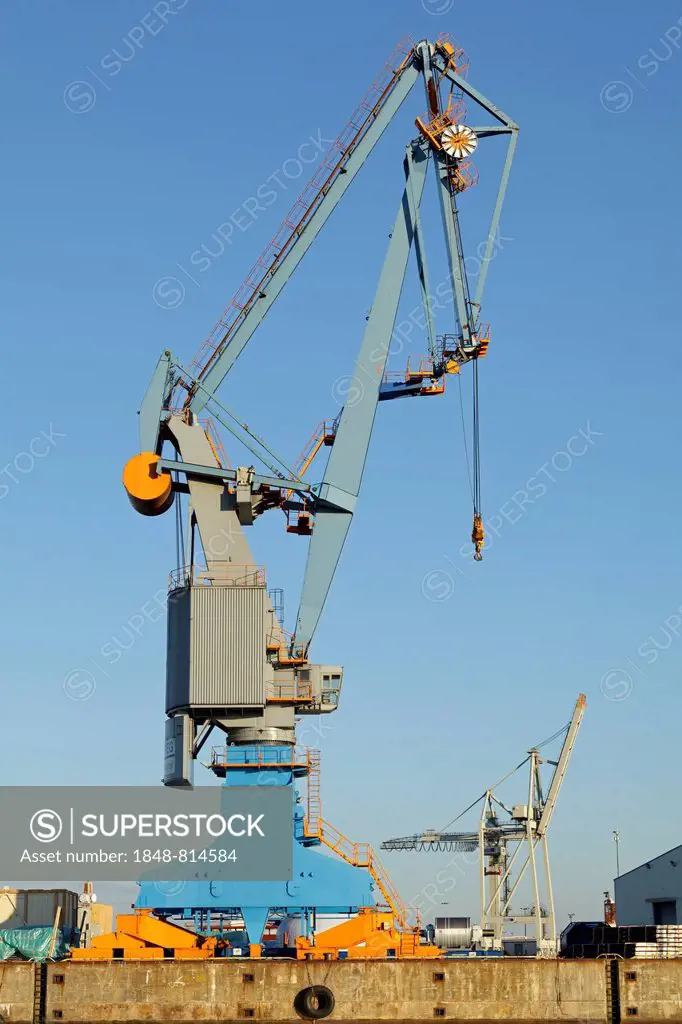 Gantry cranes, port, Hamburg, Hamburg, Germany