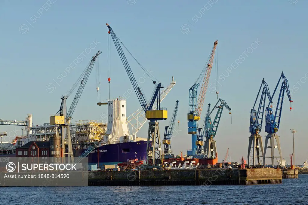 Blohm and Voss Shipyards with gantry cranes, Port of Hamburg, Hamburg, Hamburg, Germany