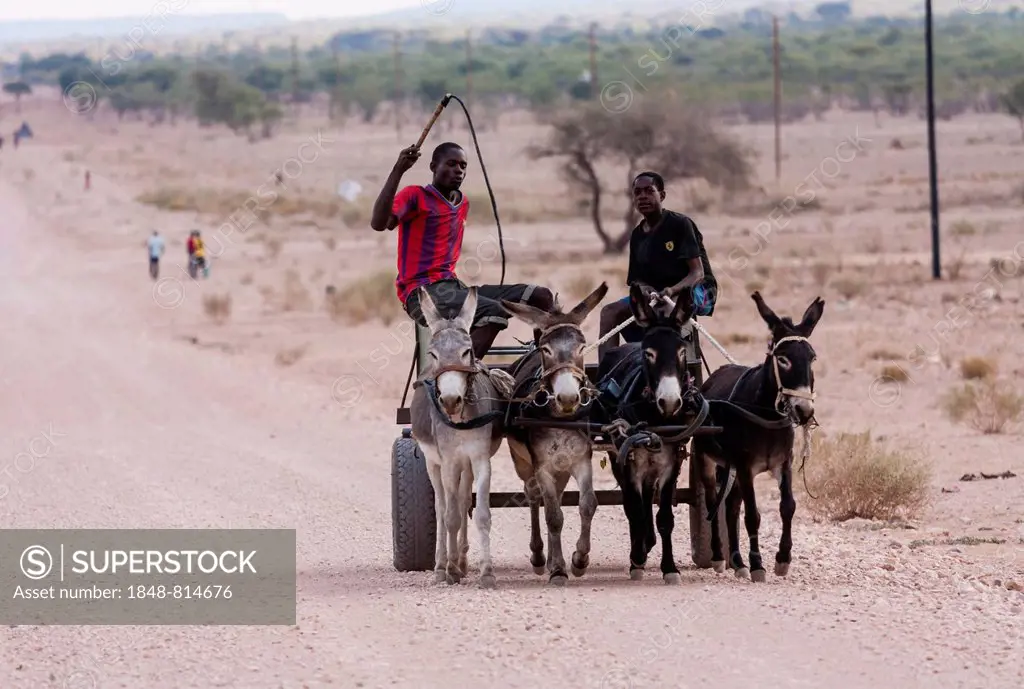 Two young men travelling on a donkey cart, Kaokoland, Kunene, Namibia