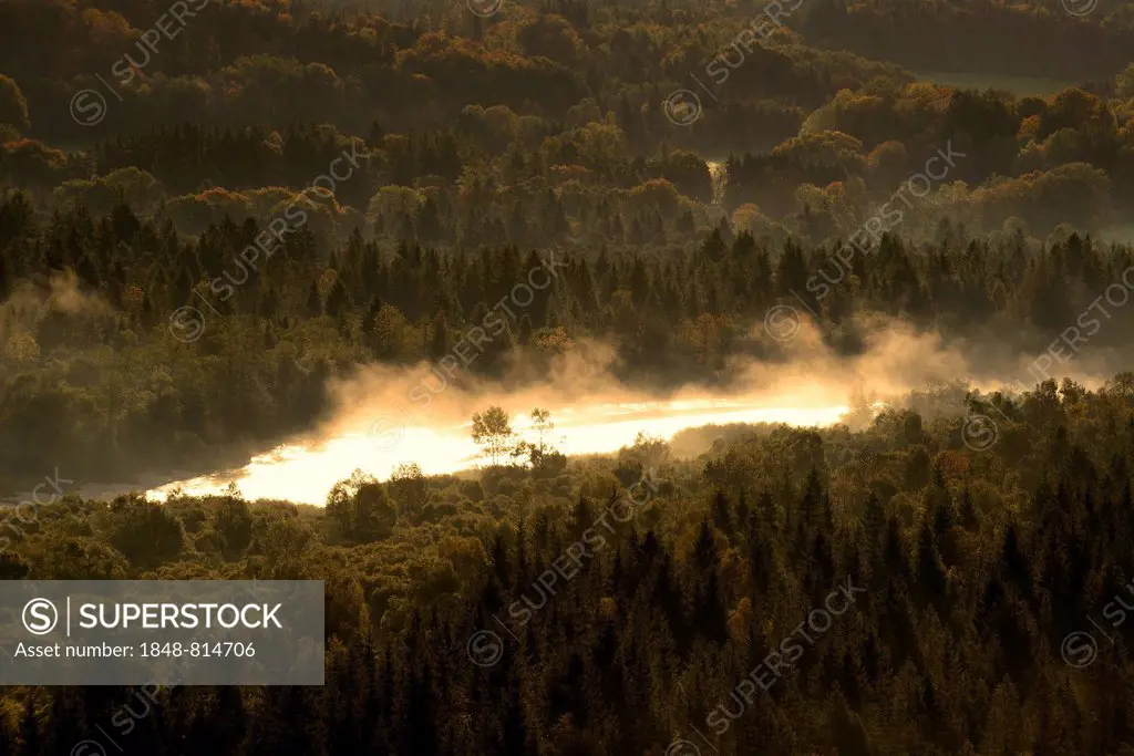 Isar River in the morning fog, Pupplinger Au, Isar Valley, Schlederloh, Icking, Upper Bavaria, Bavaria, Germany