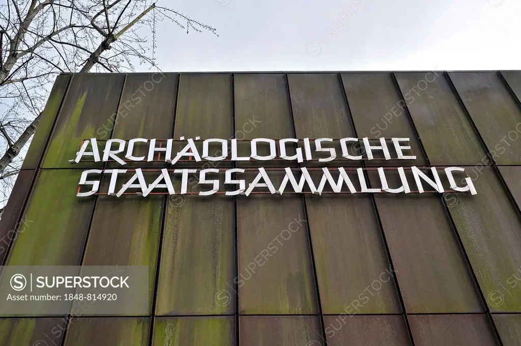 Archaeologische-Staatssammlung, archaeological museum, Munich, Upper Bavaria, Bavaria, Germany
