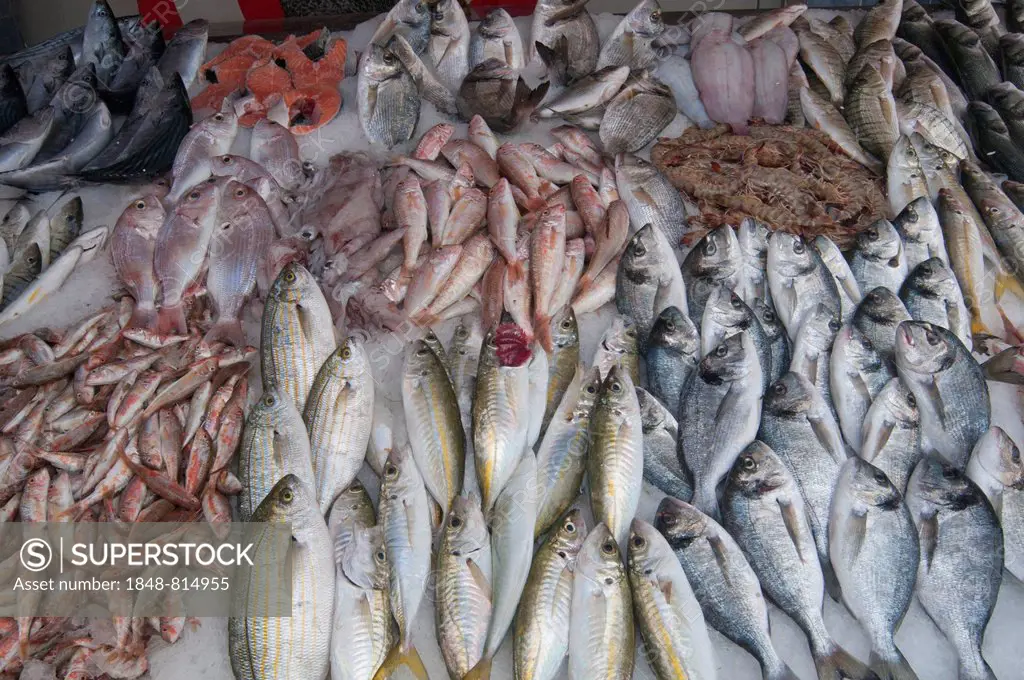 Fish for sale at the weekly market, Özdere, Izmir Province, Aegean Region, Turkey