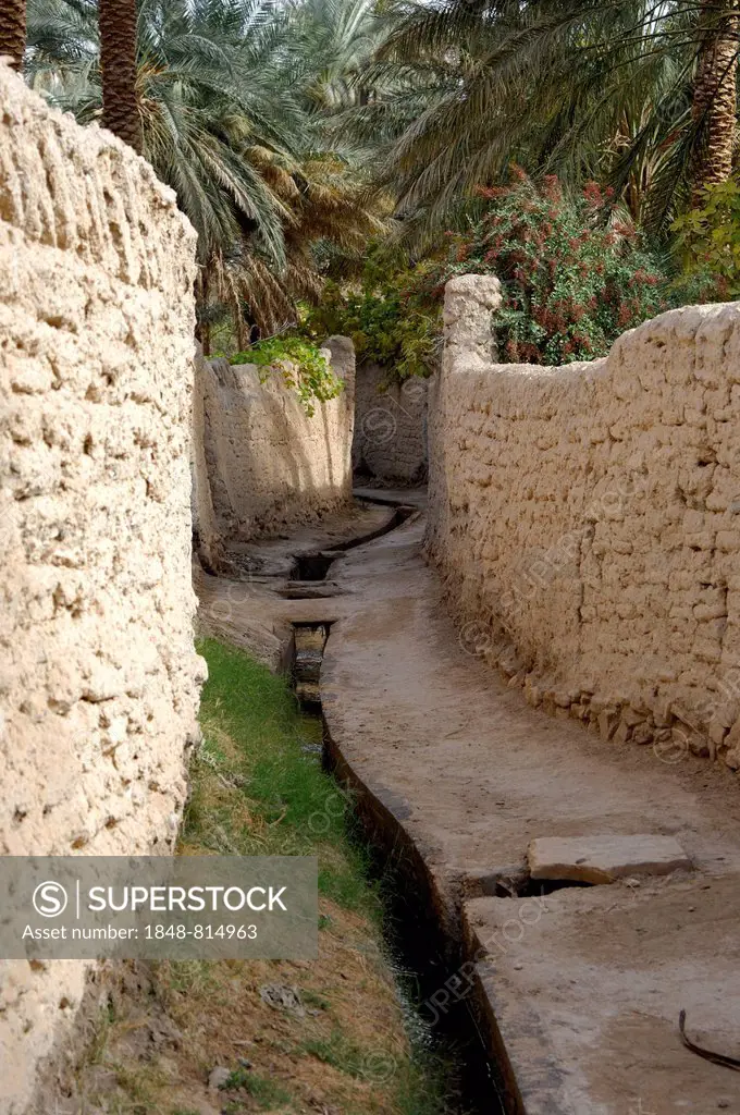 Irrigation canal in a lane, oasis city of Ghadames, UNESCO world heritage, Ghadames, Libya