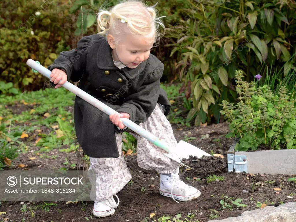 Girl, 2 years, working with a spade in the garden, Ystad, Scania, Sweden