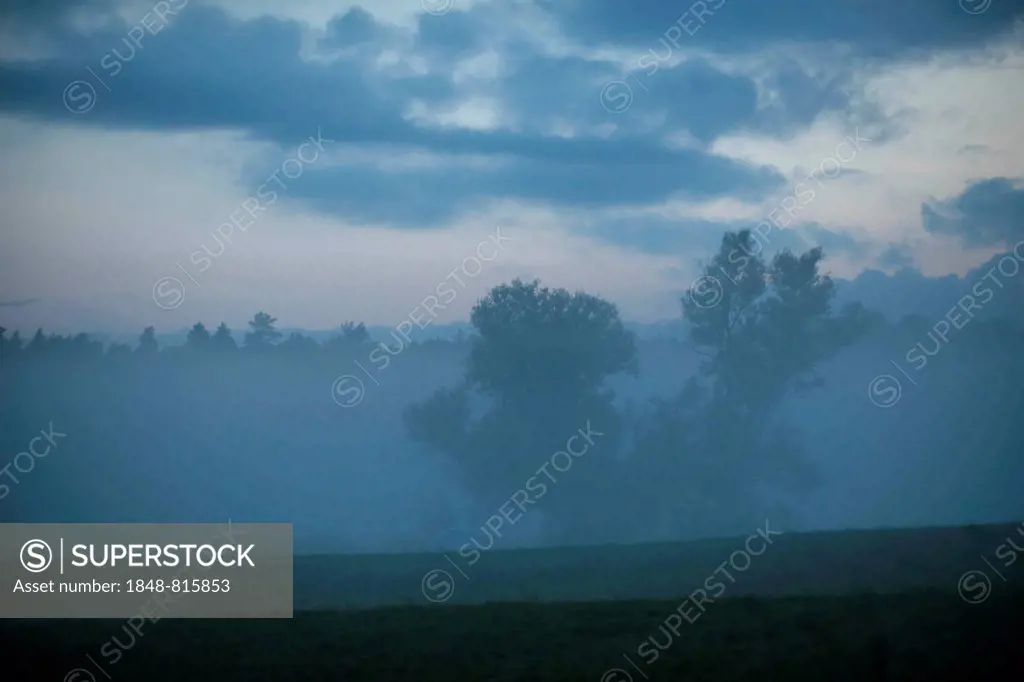 Morning mist over a meadow, near Galkowo, Warmian-Masurian Voivodeship or Warmia-Masuria Province, Poland