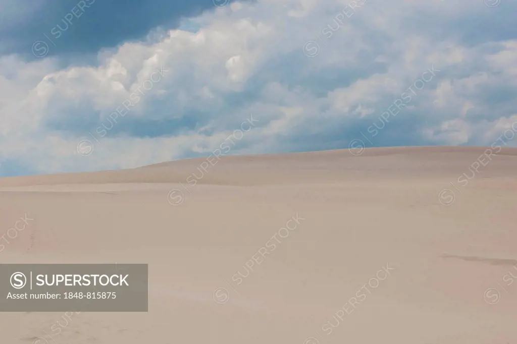 Shifting sand dunes, Slowinski National Park, Pomeranian Voivodeship, Poland