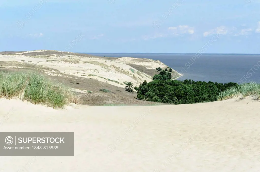 Nagliu wandering dune, Curonian Spit, UNESCO World Heritage Site, Klaipeda, Lithuania