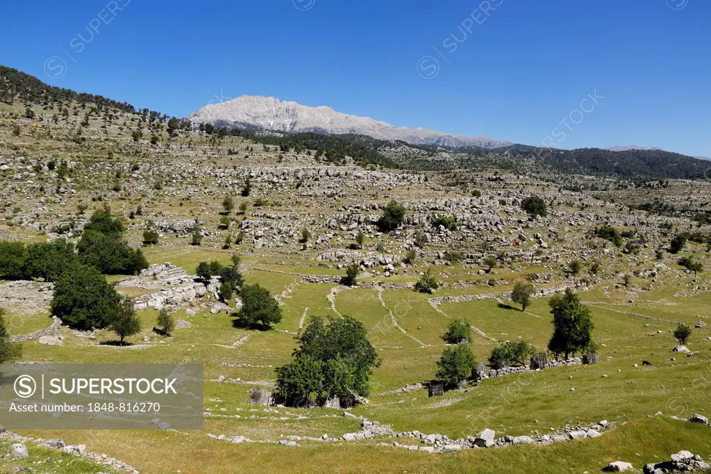 Ruins of the ancient city of Selge, Selge, Pisidia, Köprülü Canyon National Park, Antalya Province, Turkey