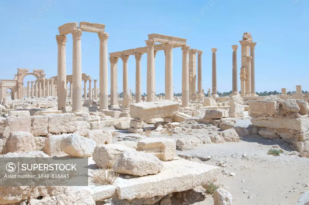 Ruins of the ancient city Palmyra, Palmyra, Tadmur, Palmyra District, Homs Governorate, Syria