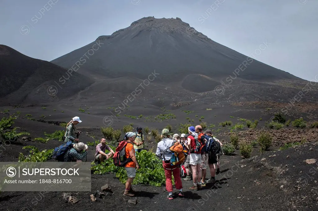 Hikers in front of the volcano Pico do Fogo, Fogo National Park, Fogo island, Cape Verde