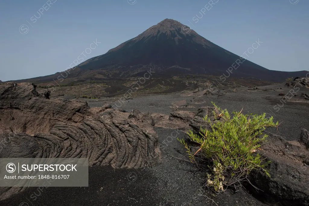 Volcanic rock and ash, volcanic landscape, behind the volcano Pico do Fogo, Fogo National Park, Fogo island, Cape Verde
