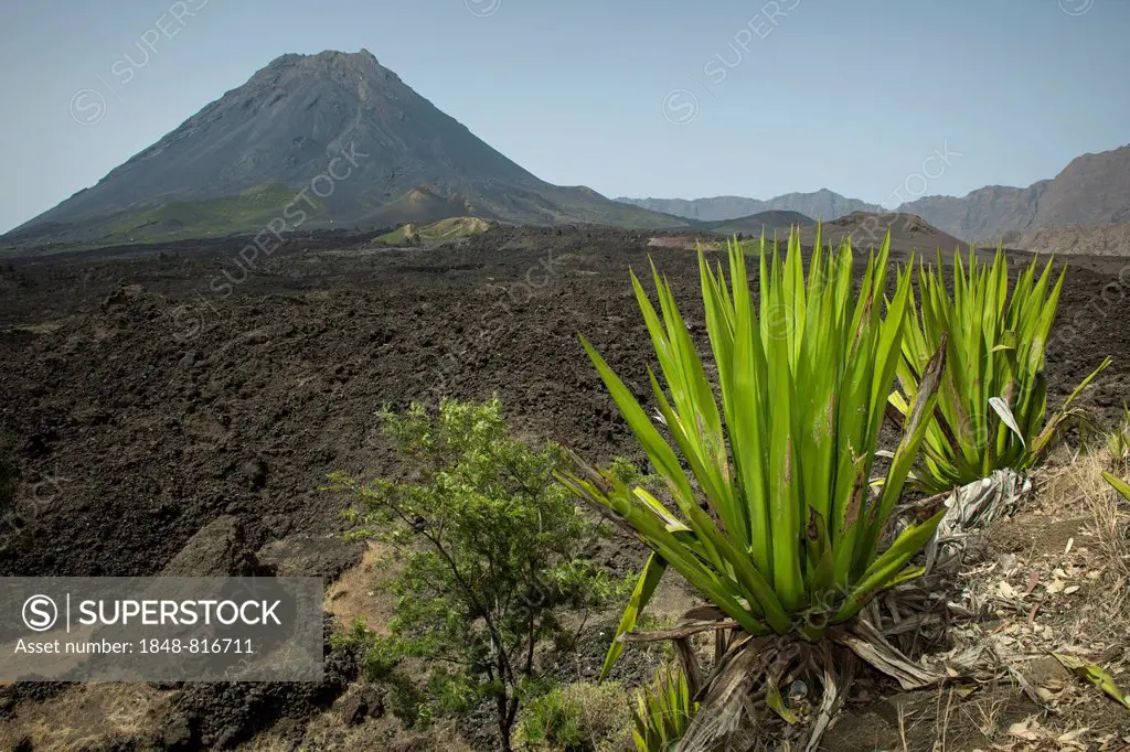 The volcano Pico do Fogo, Fogo National Park, Fogo island, Cape Verde