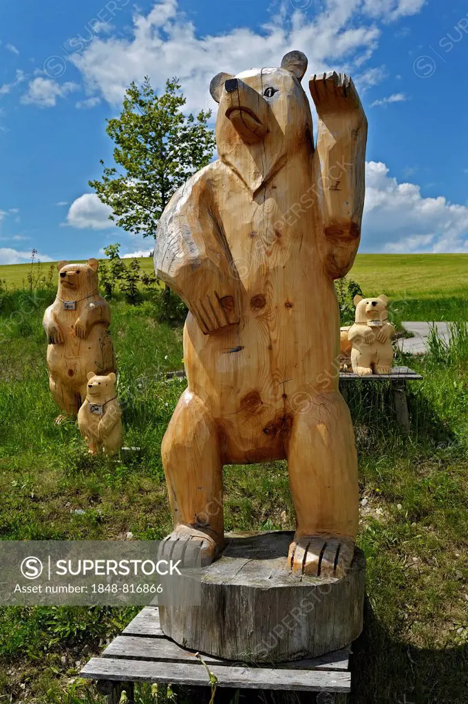 Wooden figures by artist Thomas Jung, Steingaden, Pfaffenwinkel region, Upper Bavaria, Bavaria, Germany