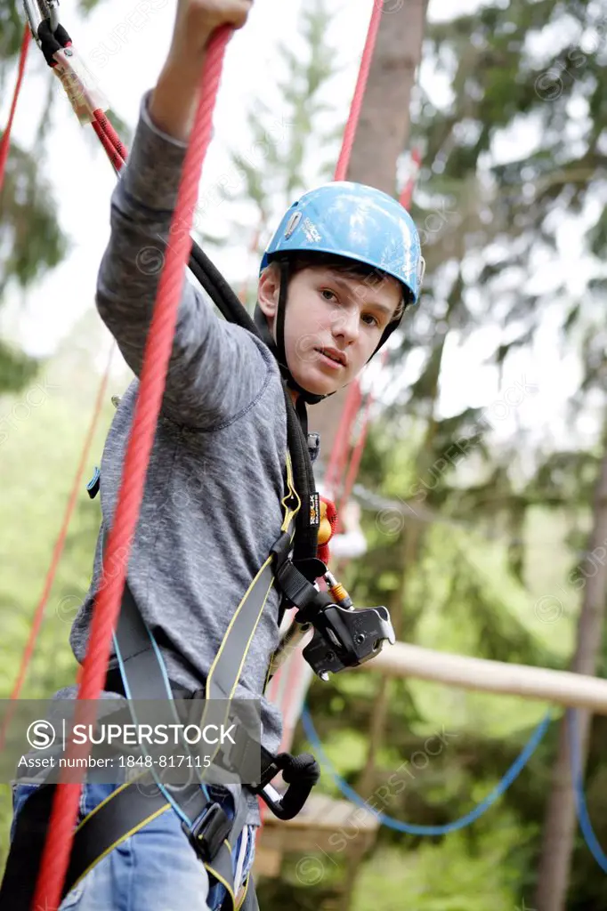 Roped up boy climbing in a climbing park, Karlovy Vary Region, Bohemia, Czech Republic