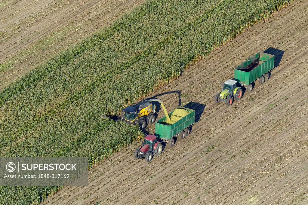 Aerial view, corn harvester and tractors with trailers, maize harvest, North Rhine-Westphalia, Germany