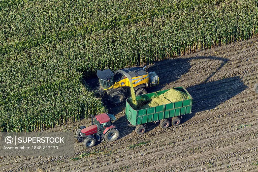 Aerial view, corn harvester and tractor with trailers, maize harvest, North Rhine-Westphalia, Germany