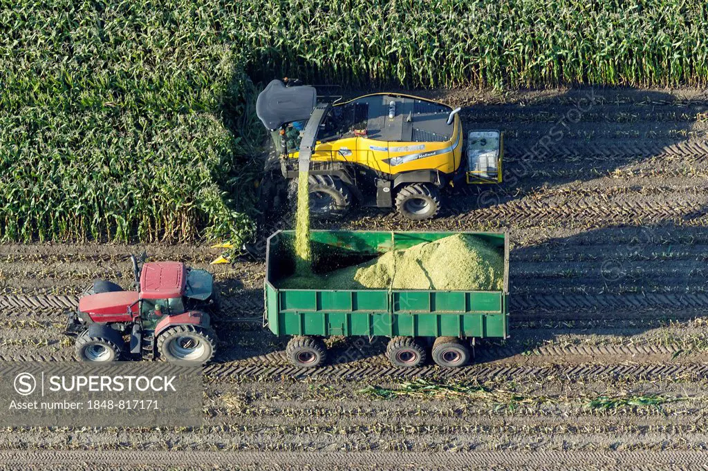 Aerial view, corn harvester and tractor with trailers, maize harvest, North Rhine-Westphalia, Germany