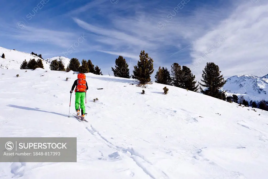 Ski walkers on the Peder-Stieralm mountain pasture, South Tyrol, Italy
