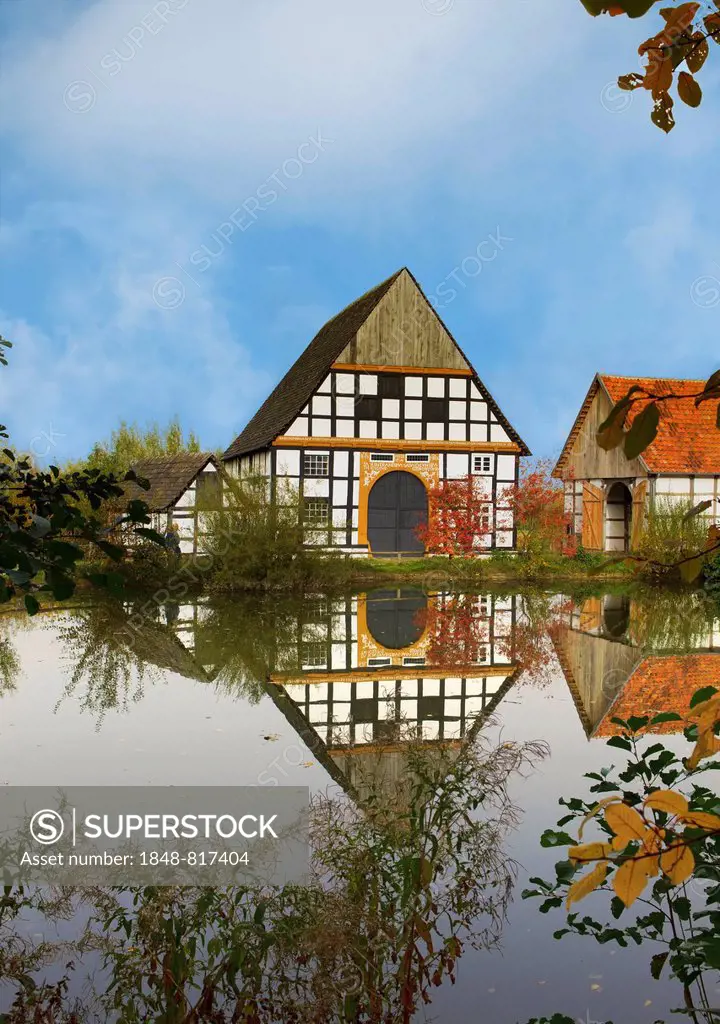 Village pond with an old half-timbered house from the 17th century, in autumn, Freilichtmuseum Detmold or Open-Air Museum Detmold, North Rhine-Westpha...