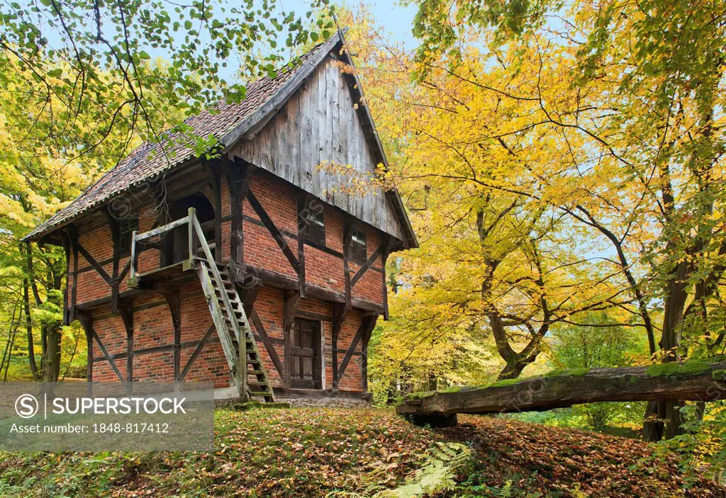 Historic castle defence tower from the 16th century in autumn, Freilichtmuseum Detmold or Open-Air Museum Detmold, North Rhine-Westphalia, Germany