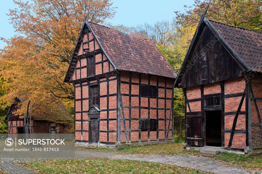 Historic warehouses from the 18th century in autumn, Freilichtmuseum Detmold or Open-Air Museum Detmold, North Rhine-Westphalia, Germany